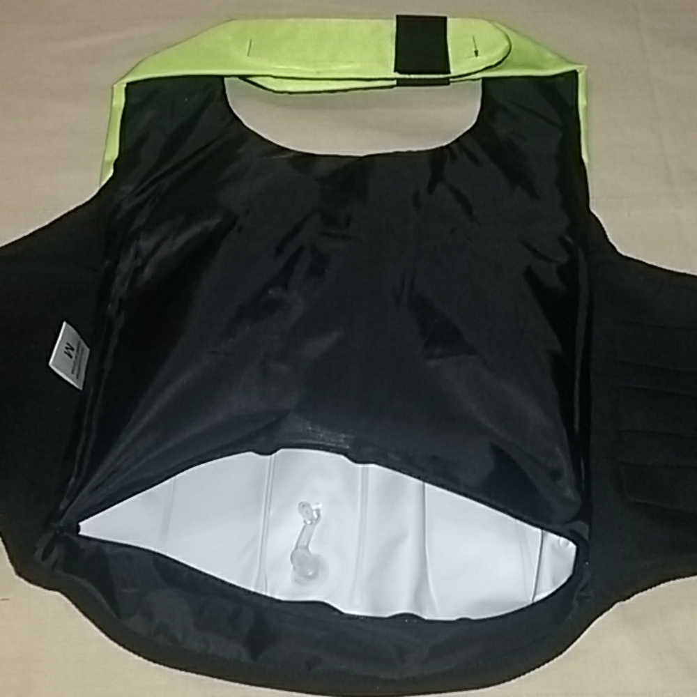 DOG SWIM VEST - Picture 6 of 8